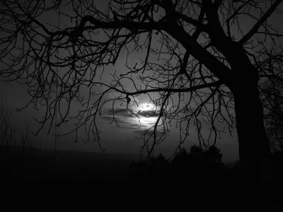Depression Wallpapers images