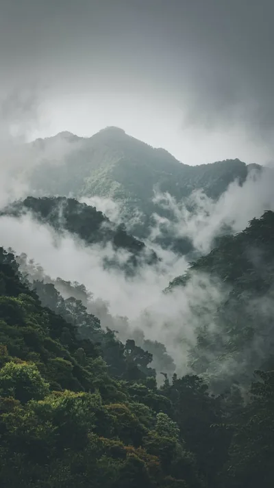Cloud Banks Rolling Over Jungle Ridges HD Phone Wallpaper