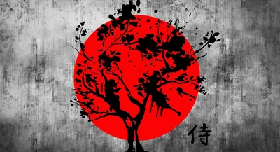Rising Sun Tree Art on Concrete HD Wallpaper