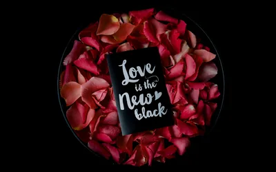 Black Card Among Red Rose Petals HD Wallpaper