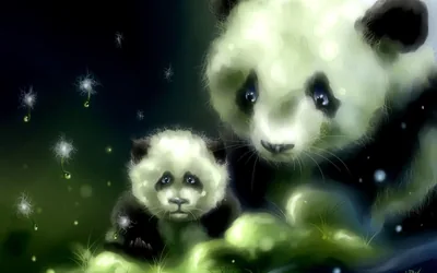 Cute Black Panda Background