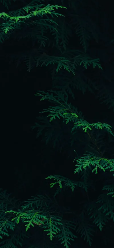 Dark iPhone X 4k Wallpapers