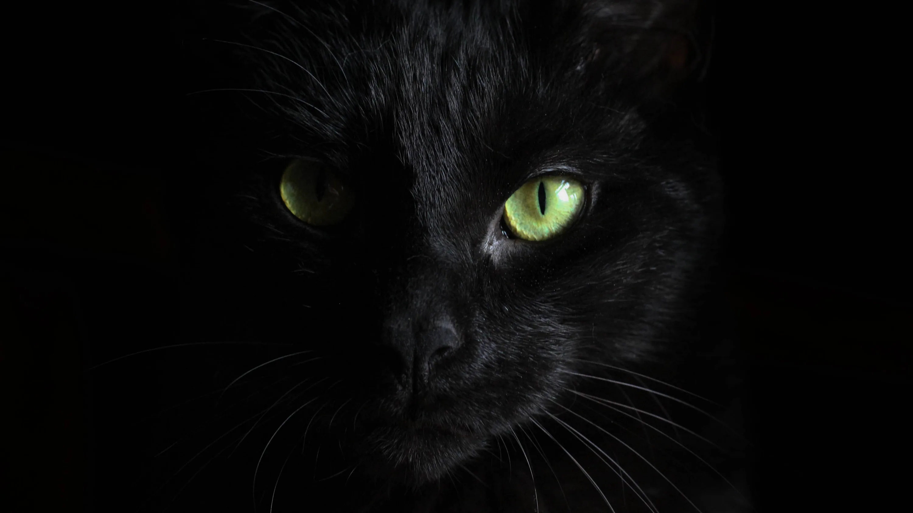 Black Page Desktop Wallpaper