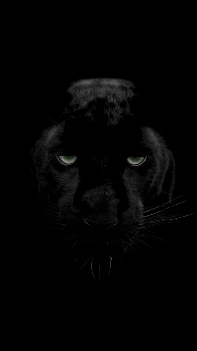 Black Panther Wallpaper 4K Background