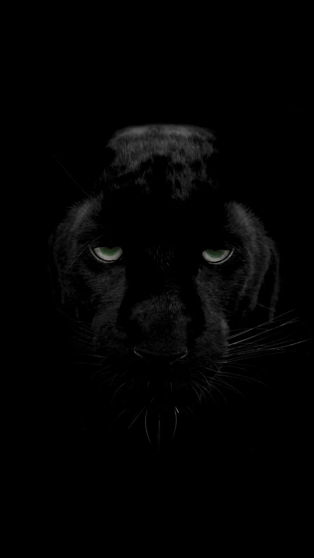 Black Panther 4K Wallpapers