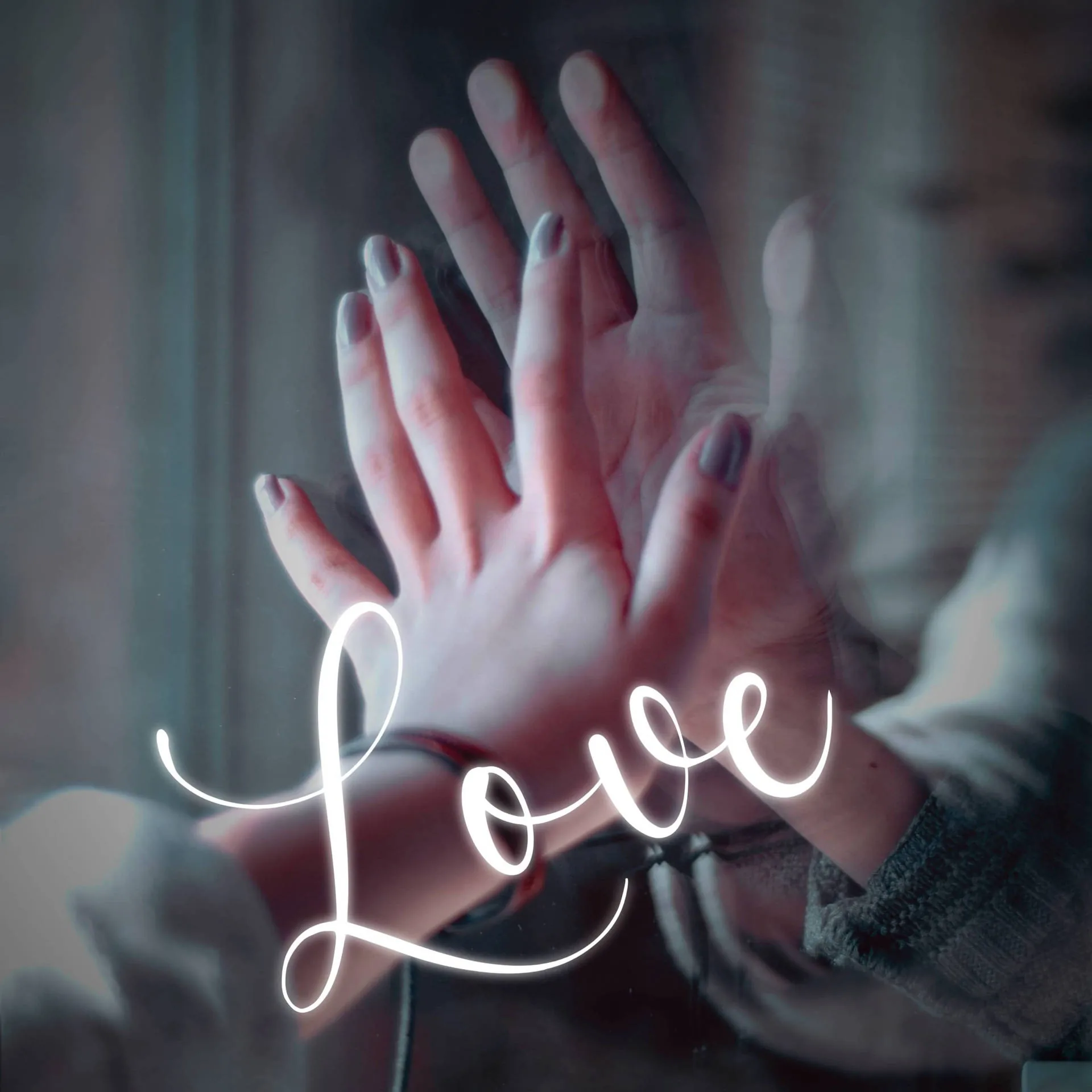 WhatsApp DP Love Hand Wallpaper