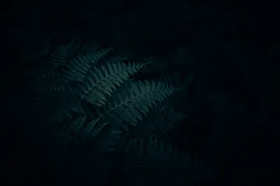 Simple Dark Desktop Wallpapers