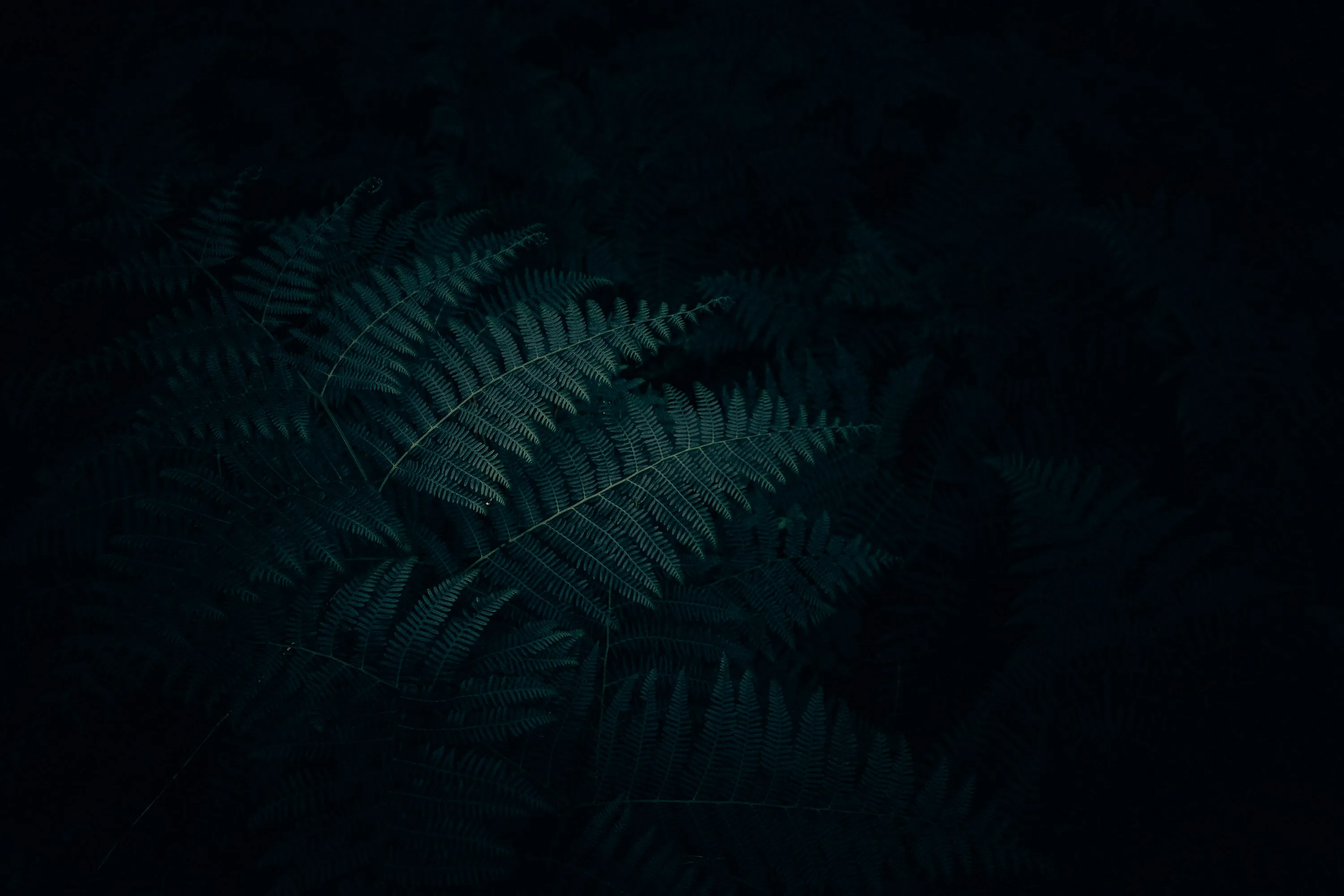 Simple Dark Desktop Wallpapers