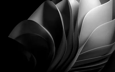 Folded Ribbons in Black and White HD Wallpaper