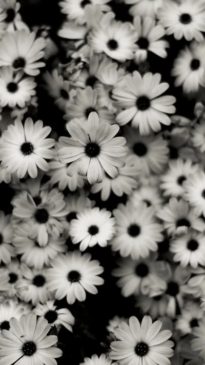 iPhone Cute Black Wallpapers