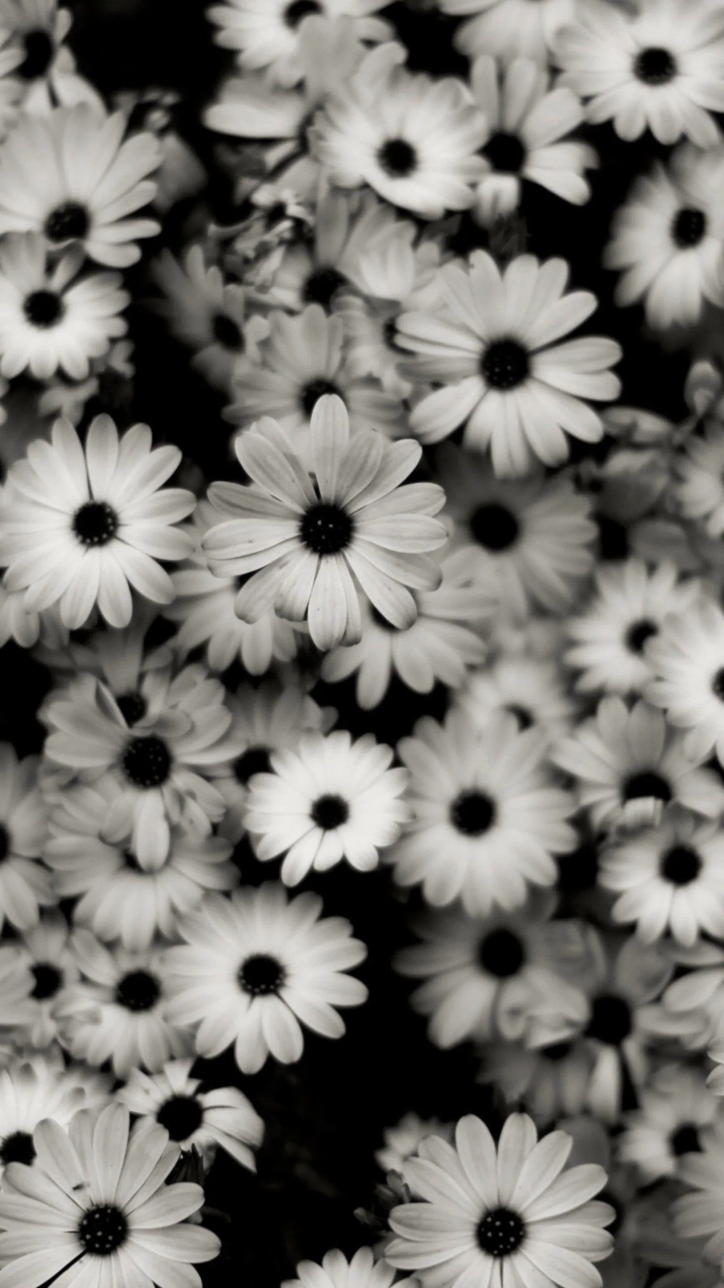 iPhone Cute Black Wallpapers
