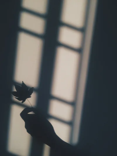 Aesthetic Shadow Girl Wallpapers
