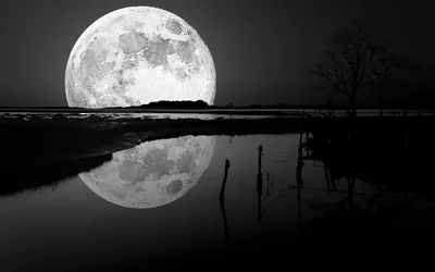 Giant Moon Setting over a Lake HD Wallpaper
