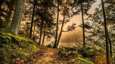 Lakeside Trail at Hazy Sunset HD Wallpaper