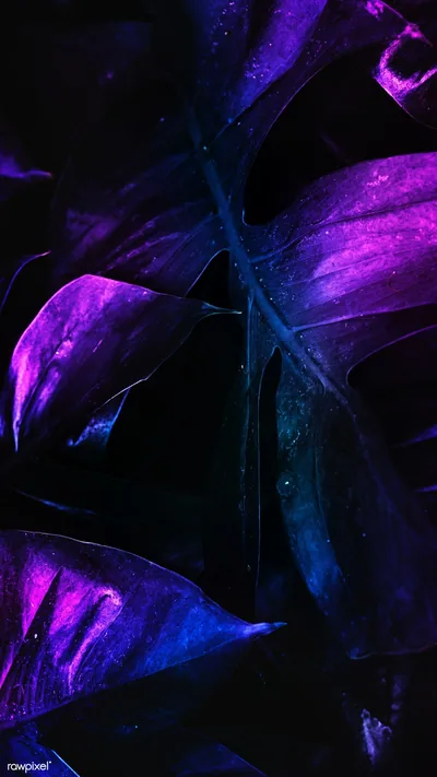 Purple Tropical Leaves Close-Up HD Phone Wallpaper