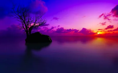 Nature HD Wallpapers Purple Sky