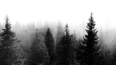 Indie Wallpapers Tumblr