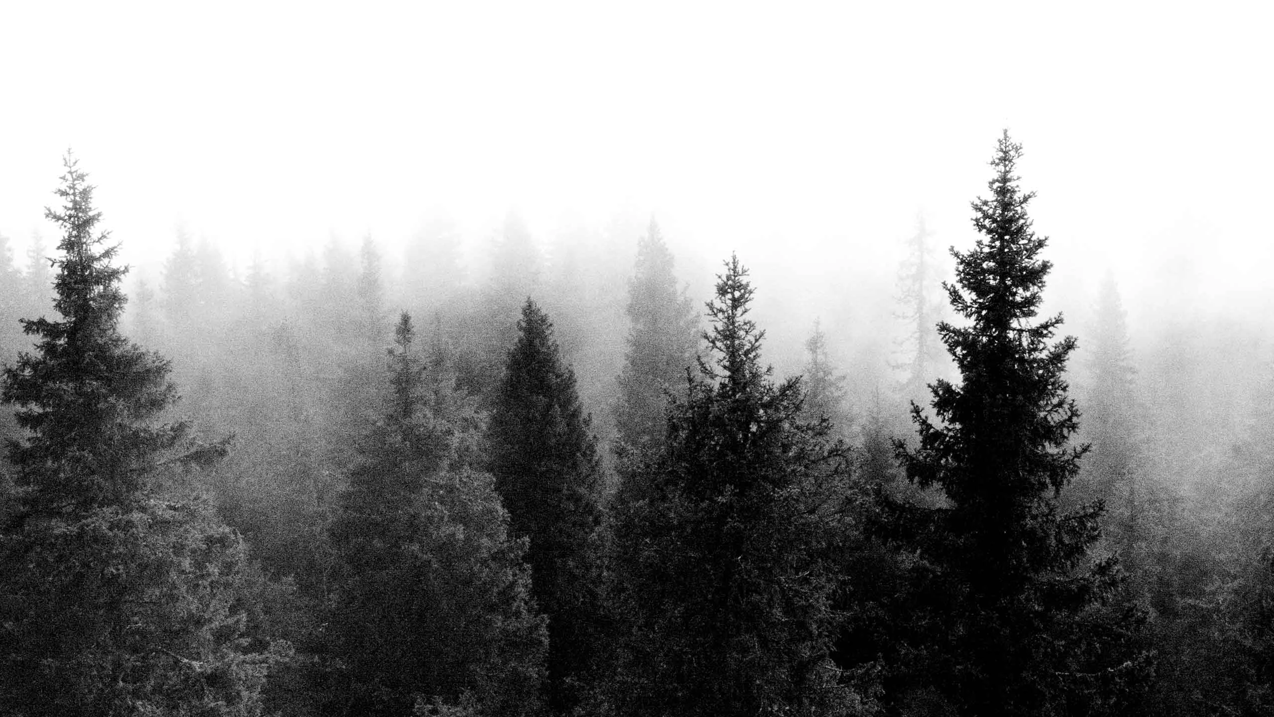 Indie Wallpapers Tumblr