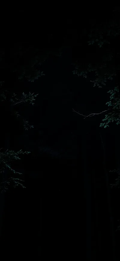 Stary Night Dark Colour Night Time With Black Trees