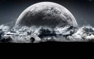Black Wallpaper Hd