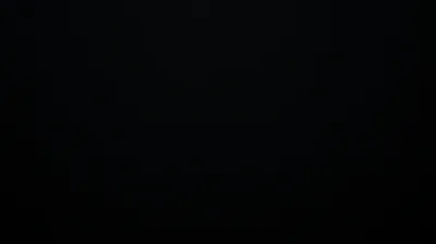 Pitch Black Color