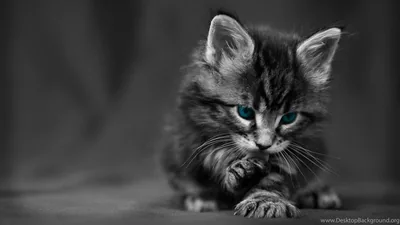 Black Girly Desktop Wallpapers Black Girly Desktop Backgrounds