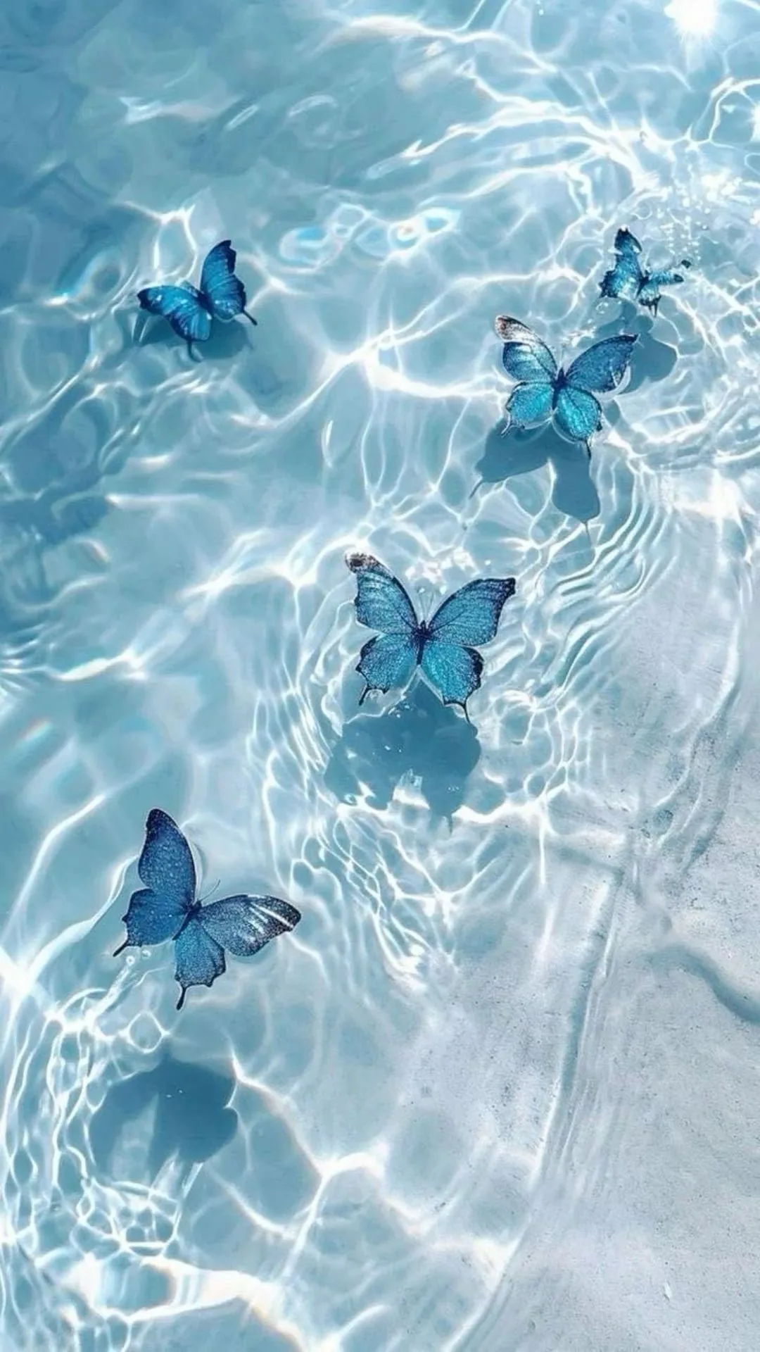 Blue morpho butterflies rest on sunlit ripples above pale sand, the water's light net pattern weaving around them, the right edge fading to plain white sand.