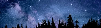 Night Wallpaper 4K, Starry sky, Forest, Silhouette
