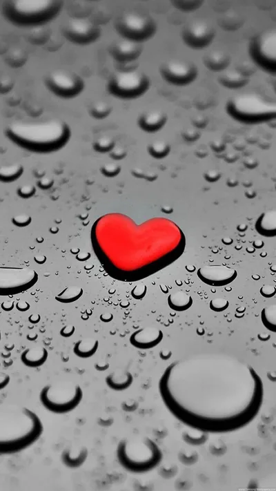 Red Heart Among Water Drops HD Phone Wallpaper