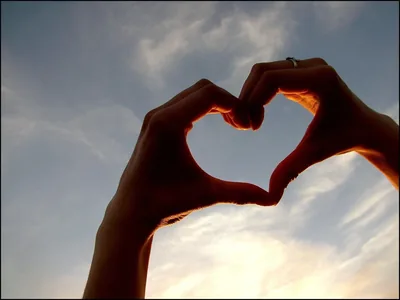 Hands Heart Love Images And Wallpapers