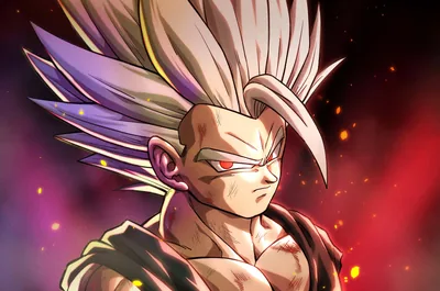Gohan Super Saiyan 3 Fondo De Pantalla