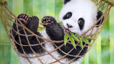 Cute Panda PC Wallpapers Cute Panda PC Backgrounds