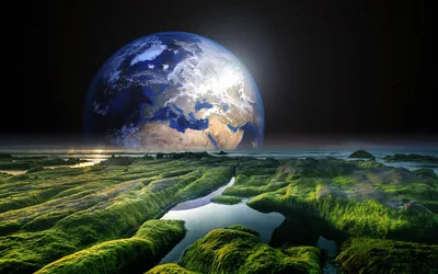 Green Moss Field Under Rising Earth HD Wallpaper