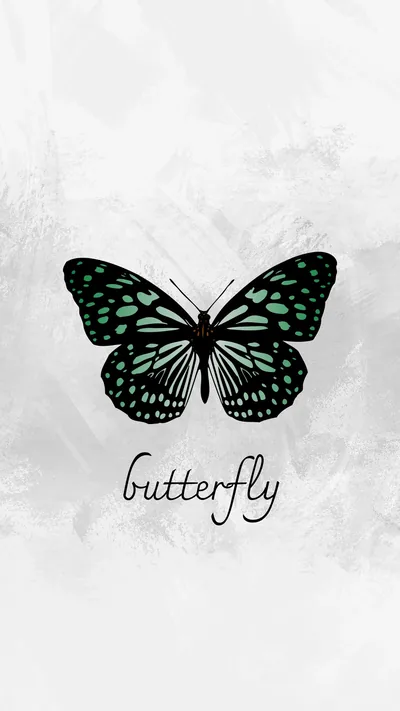 Black Butterfly Backgrounds