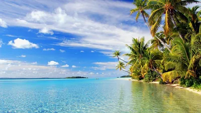 Beach Wallpaper for Computer images