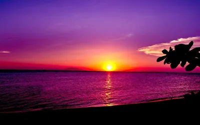 Violet Dusk Over a Calm Dark Sea HD Wallpaper