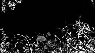 IN BLACK FLORAL DESKTOP WALLPAPER HD Wallpapers