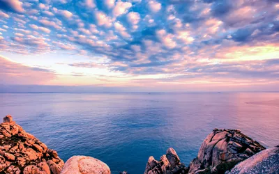 Pink Clouds over a Calm Sea HD Wallpaper
