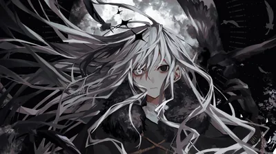 Resolution Black Bird HD Anime Resolution