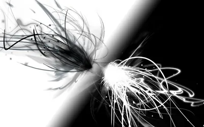 Cool Black And White Background