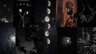 Moon Phases and Rose Collage in Dark Grey HD Wallpaper