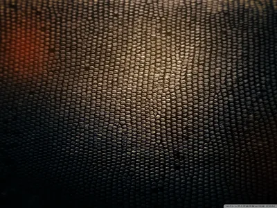 Scaled Wall Texture with Warm Glow HD Wallpaper