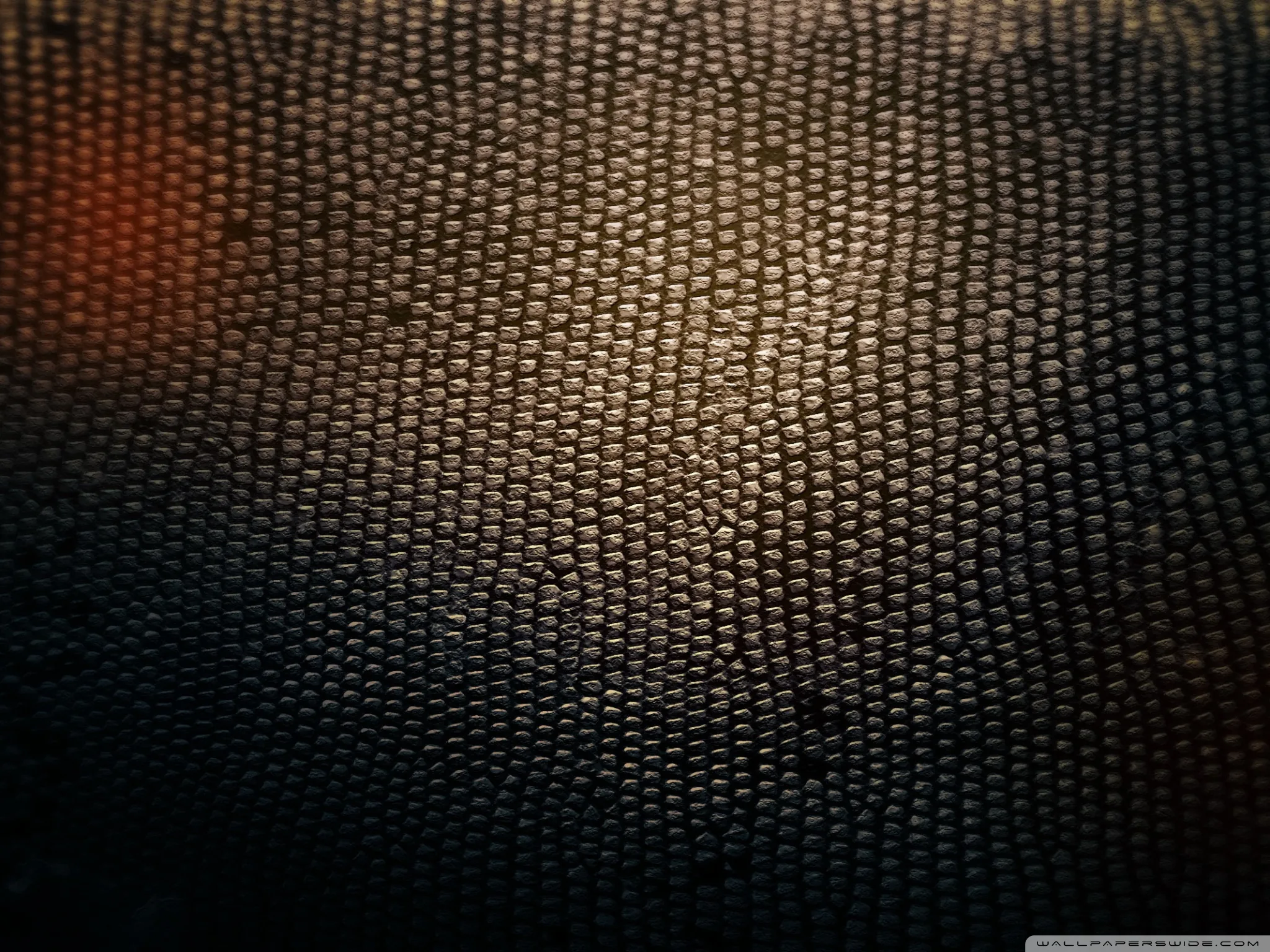 Tiny raised scales cover the whole wall in bronze and charcoal, a faint orange light bleeding in from the upper left corner.