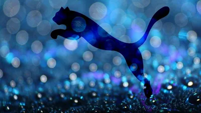 Puma Wallpapers 4k, HD Puma Backgrounds