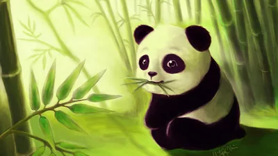 Cute Panda Cartoon Wallpapers