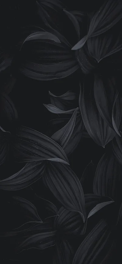 Black Wallpaper