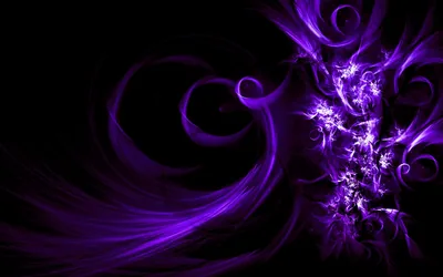 Violet Fractal Swirls on Black HD Wallpaper