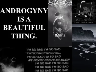The Aesthetic of a Thorn