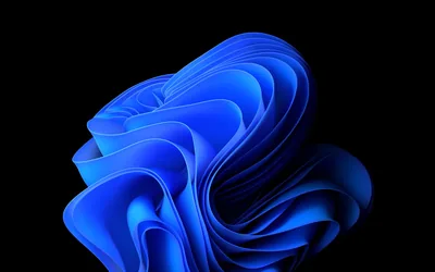 Blue Windows 11 Ribbon Bloom HD Wallpaper