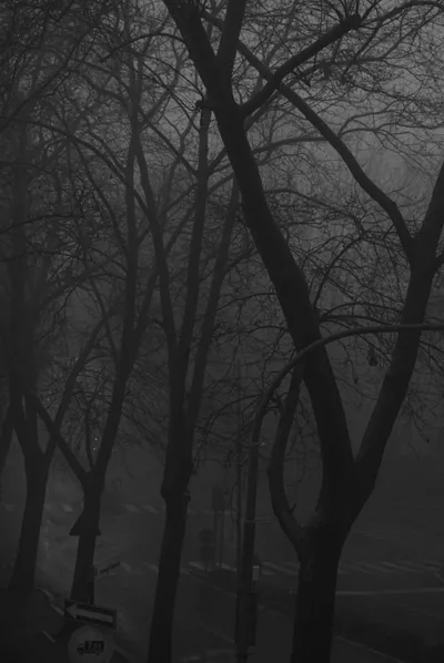 Dark core